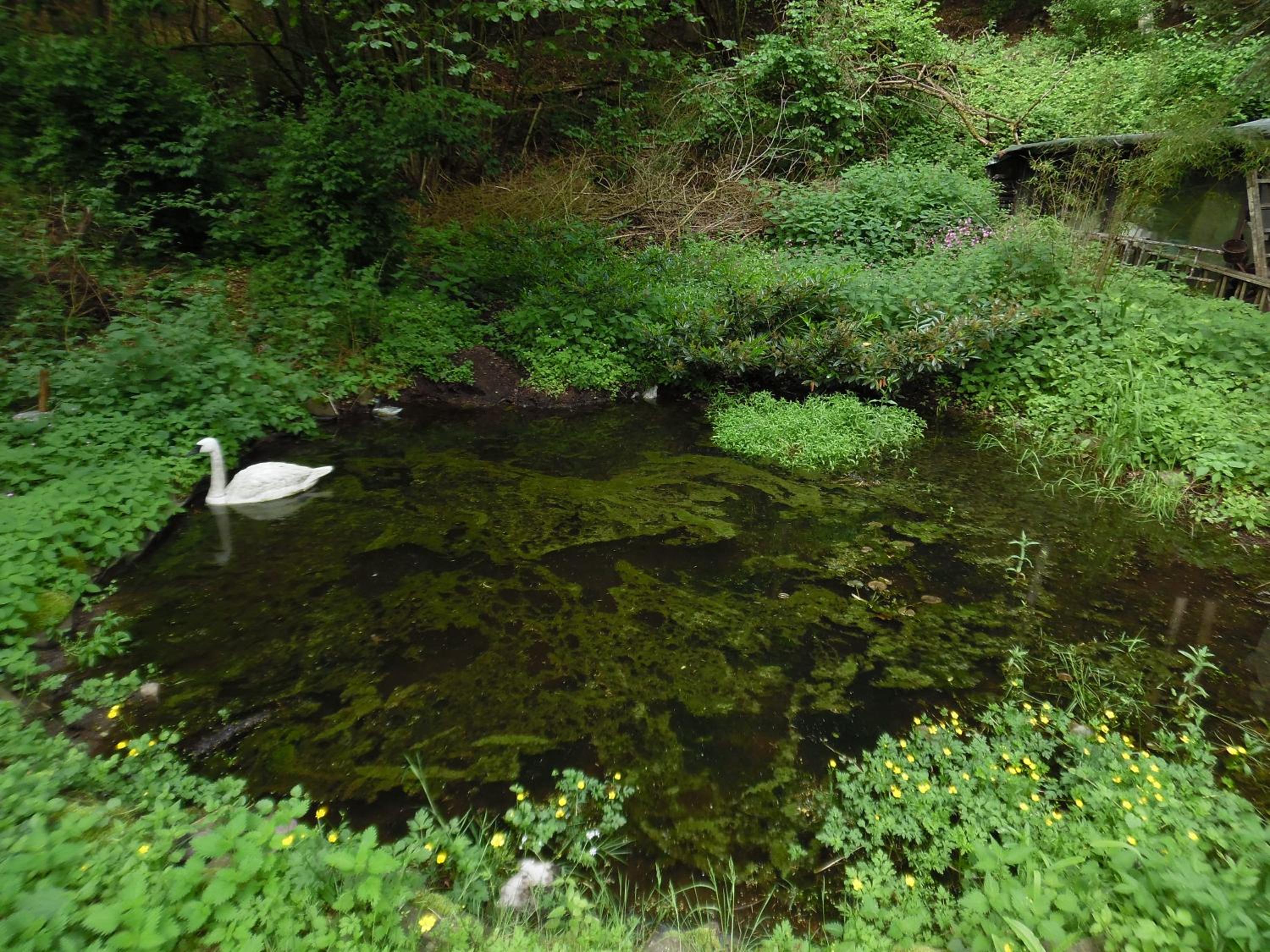 Wellness und Romantik Hotel Helmboldt 53/59