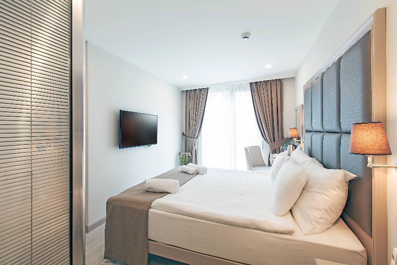 غرفة قياسية بسرير كوين، Galata Grace Hotel 2/2