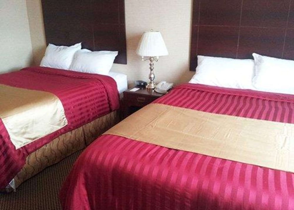 غرفة قياسية بسريرين كوين، Econo Lodge City Centre Kingston 3/10