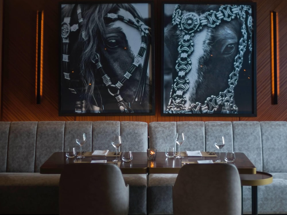 Sofitel Buenos Aires Recoleta 7/48