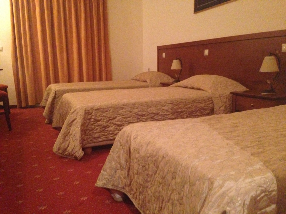 Arta Palace Hotel 17/52