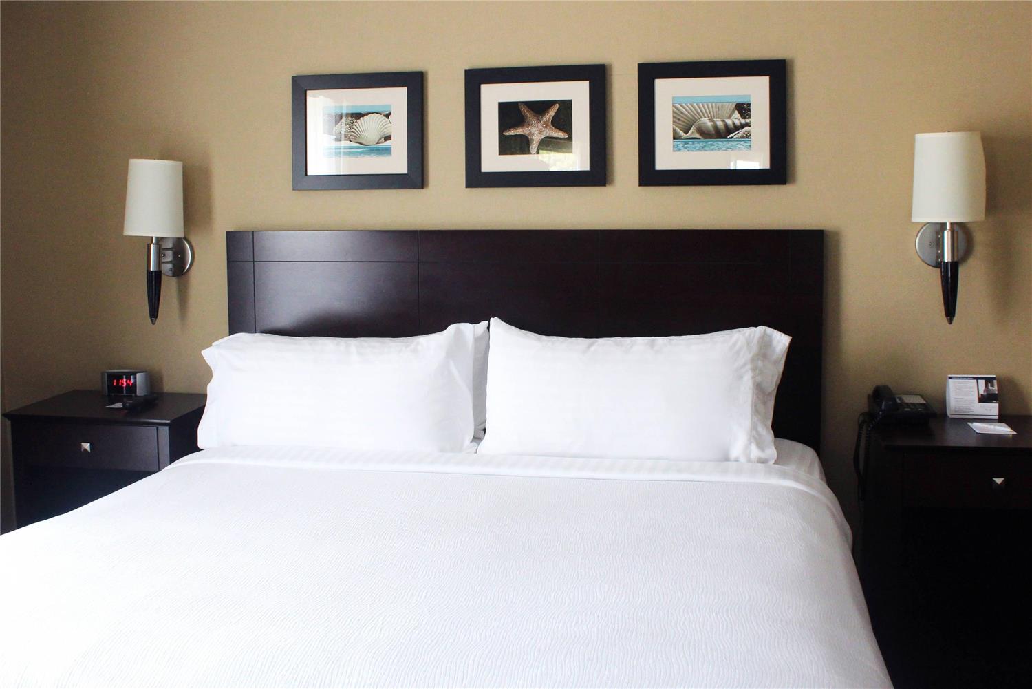 The Volare, Ascend Hotel Collection 25/46
