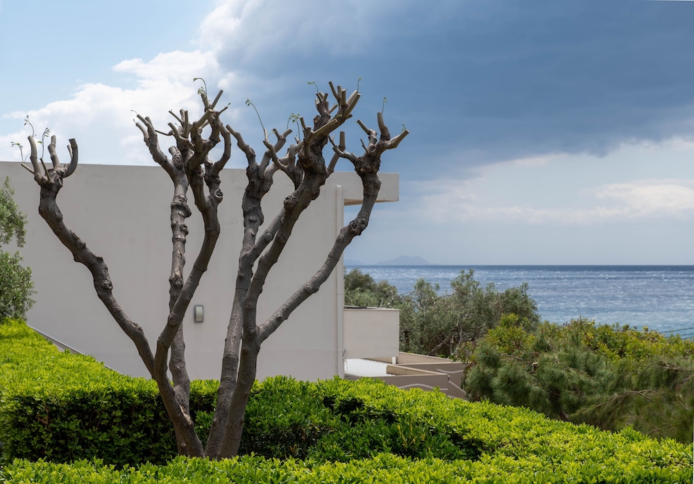 Polyrizos Hotel in Agios Vasileios