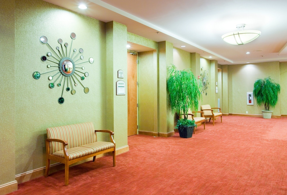 Southpark Hotel 25/50