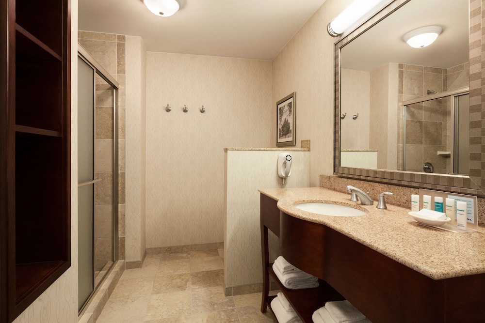 Hampton Inn And Suites Washington Dulles Interntnl Airport 11/42