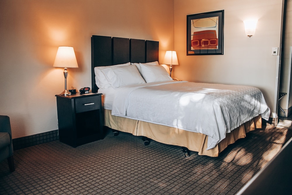Holiday Inn Express Hotel And Suites Weatherford 19/41