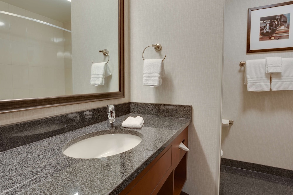 Drury Plaza Hotel St. Louis St. Charles 38/38