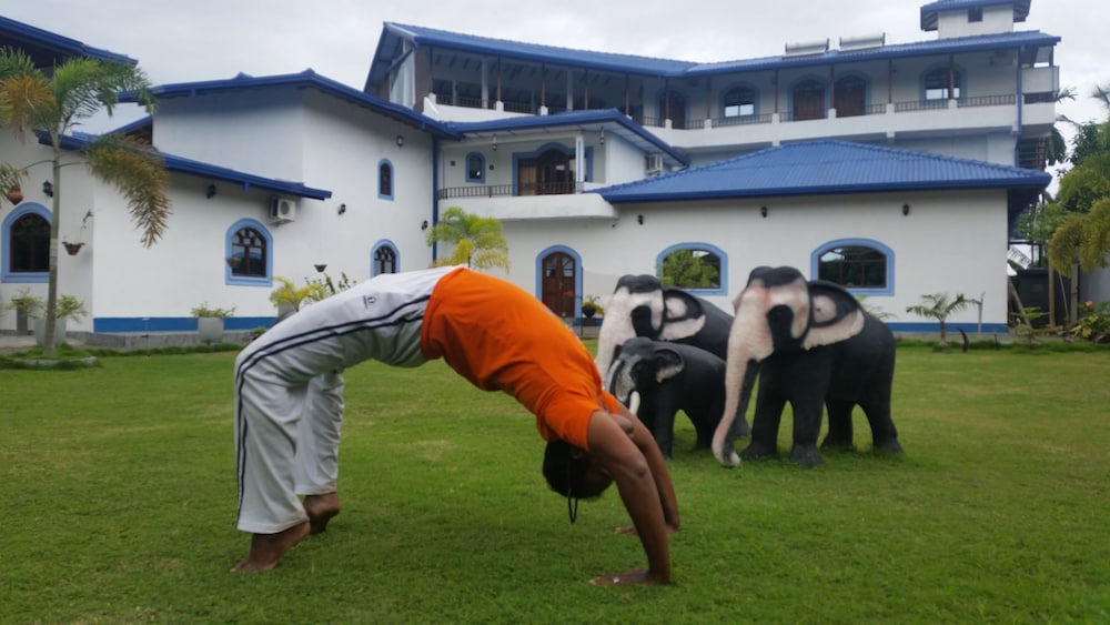 Dhammika Magic Palace 38/50