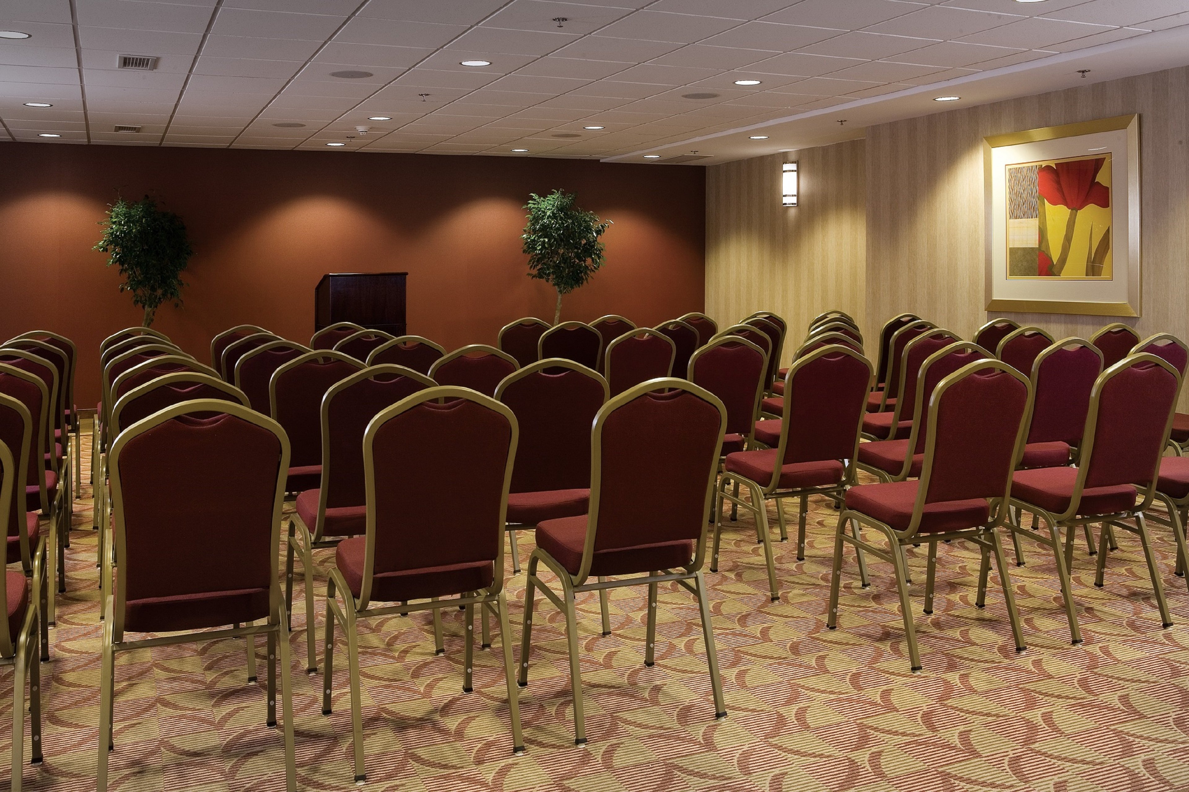 HOLIDAY INN EXPRESS & SUITES CHARLOTTESVILLE - RUCKERSVILLE 49/54