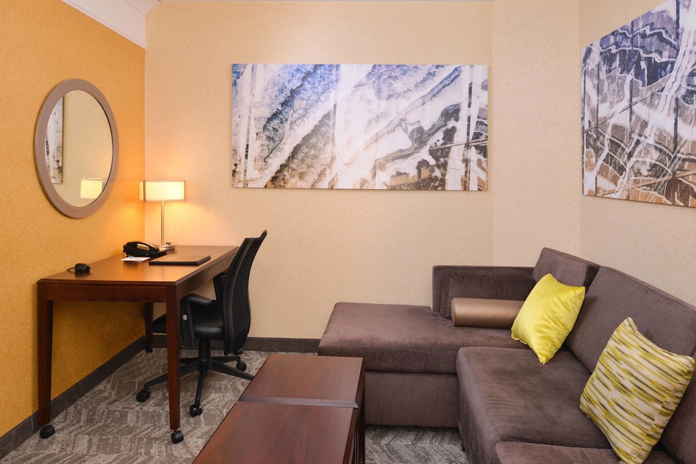 Springhill Suites Pittsburgh Mills 30/43