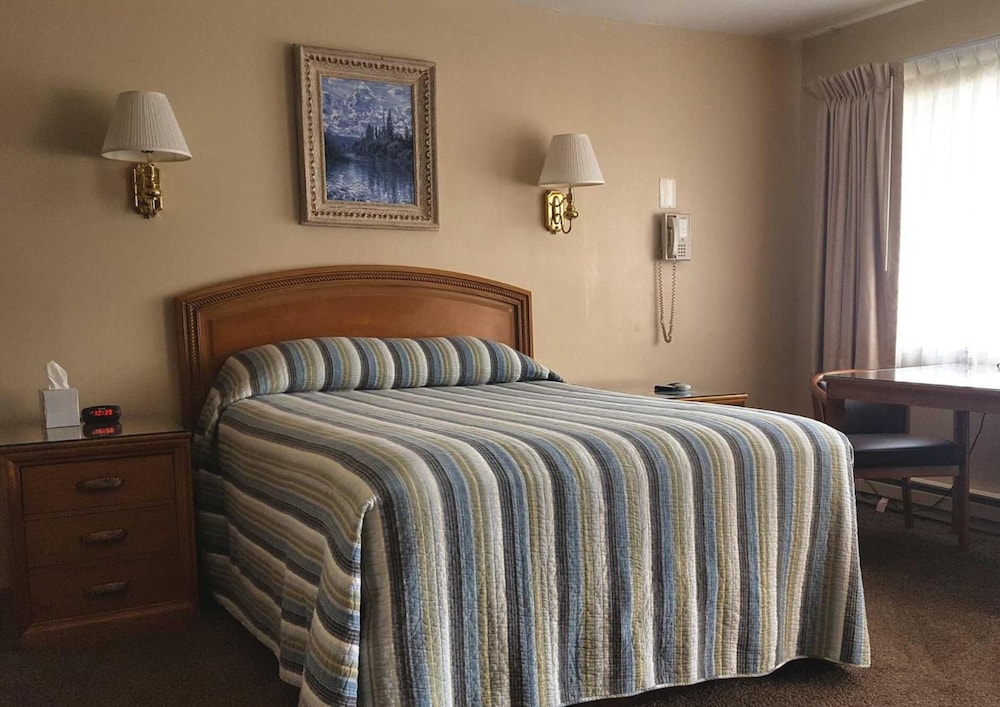 Bristlecone Motel 21/50
