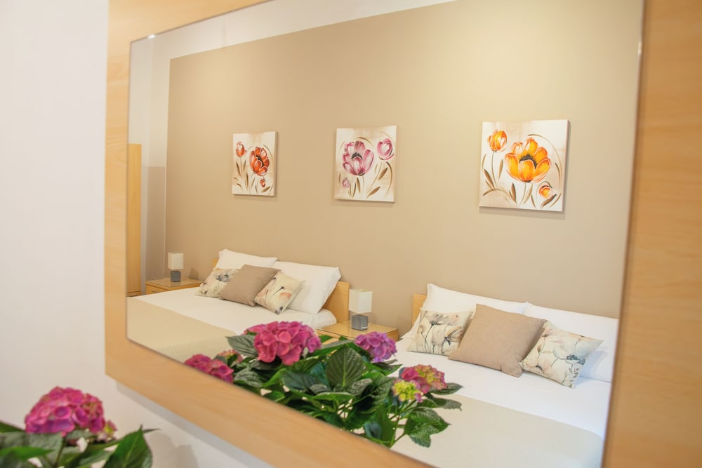B&B Actinia 4/41