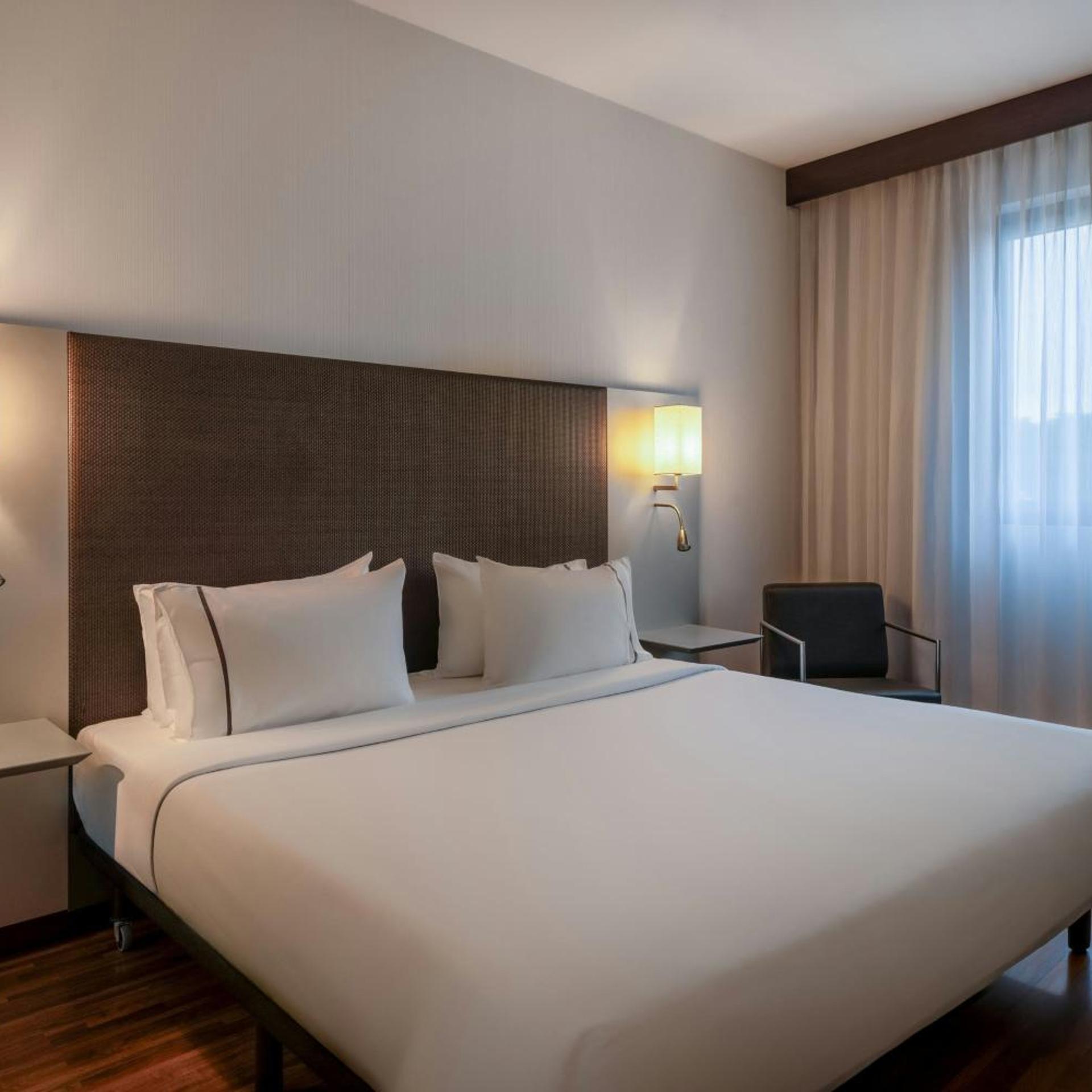 Guest Room, Standard, King Bed