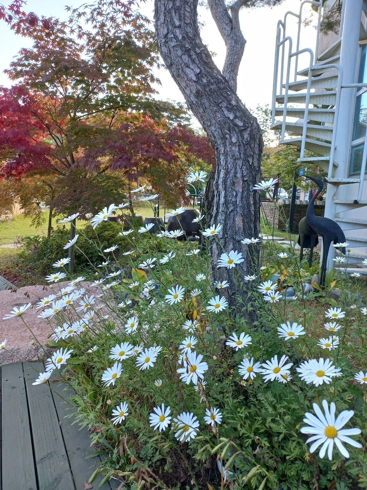 Gyeongju Orsay Pension 40/46