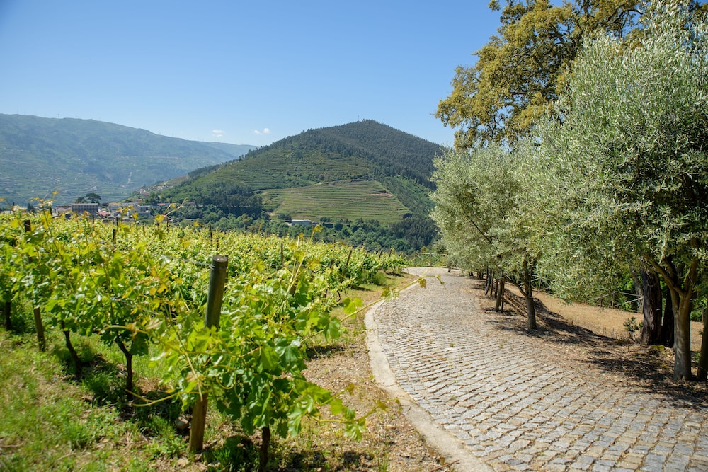 Quinta do Bosque 35/50