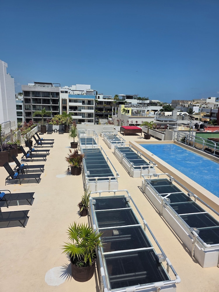 Reina Roja Hotel 52/57