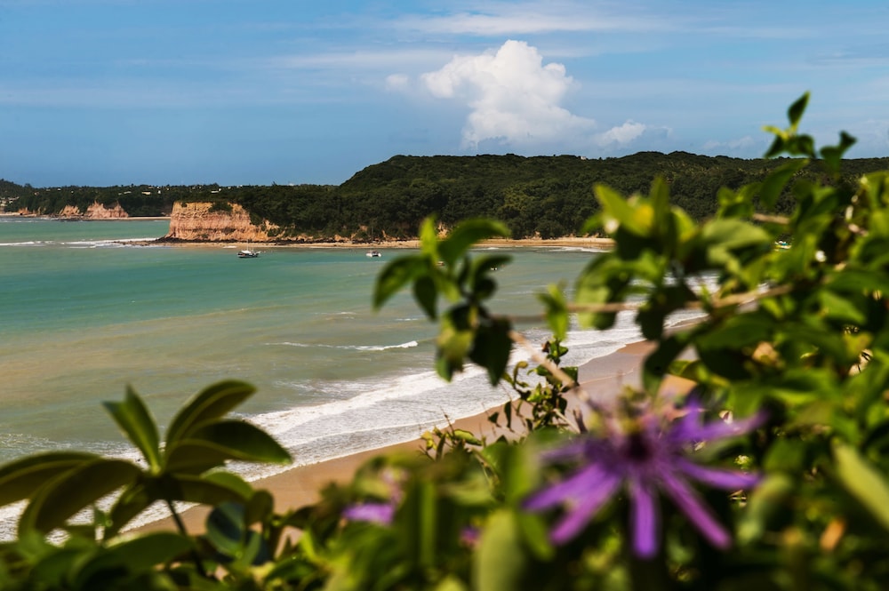 Ponta Do Madeiro 30/51