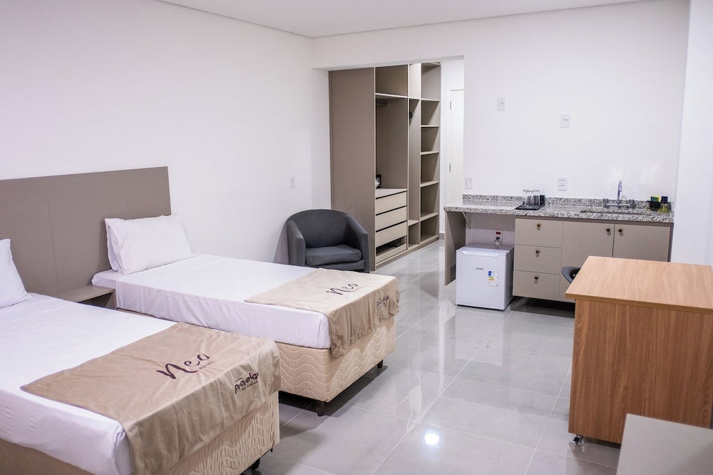 PALMLEAF GRAND PREMIUM 19/52