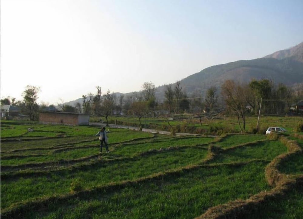 The Citadel Resorts, Jiya 13/15