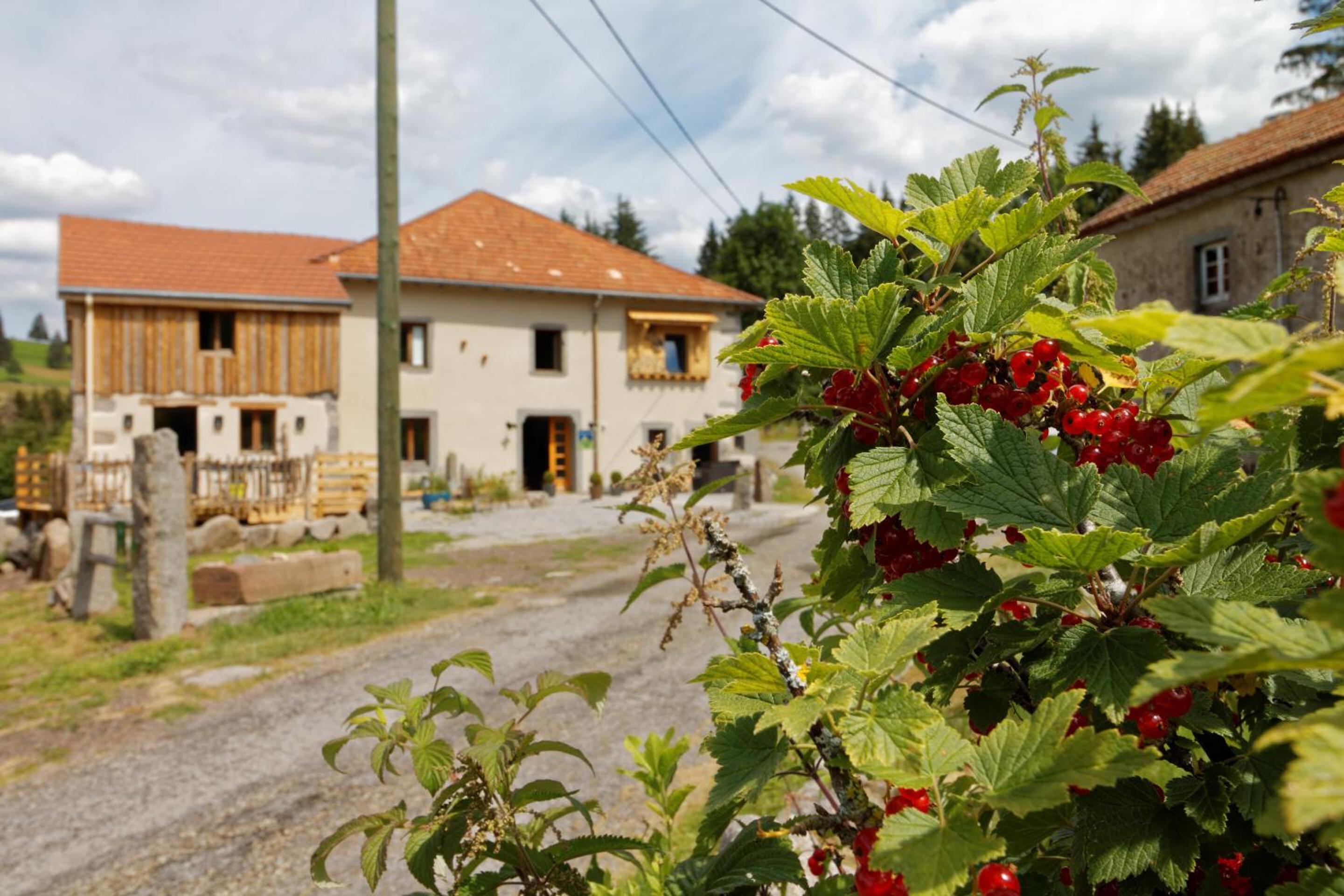 La Ferme de Jean 35/36