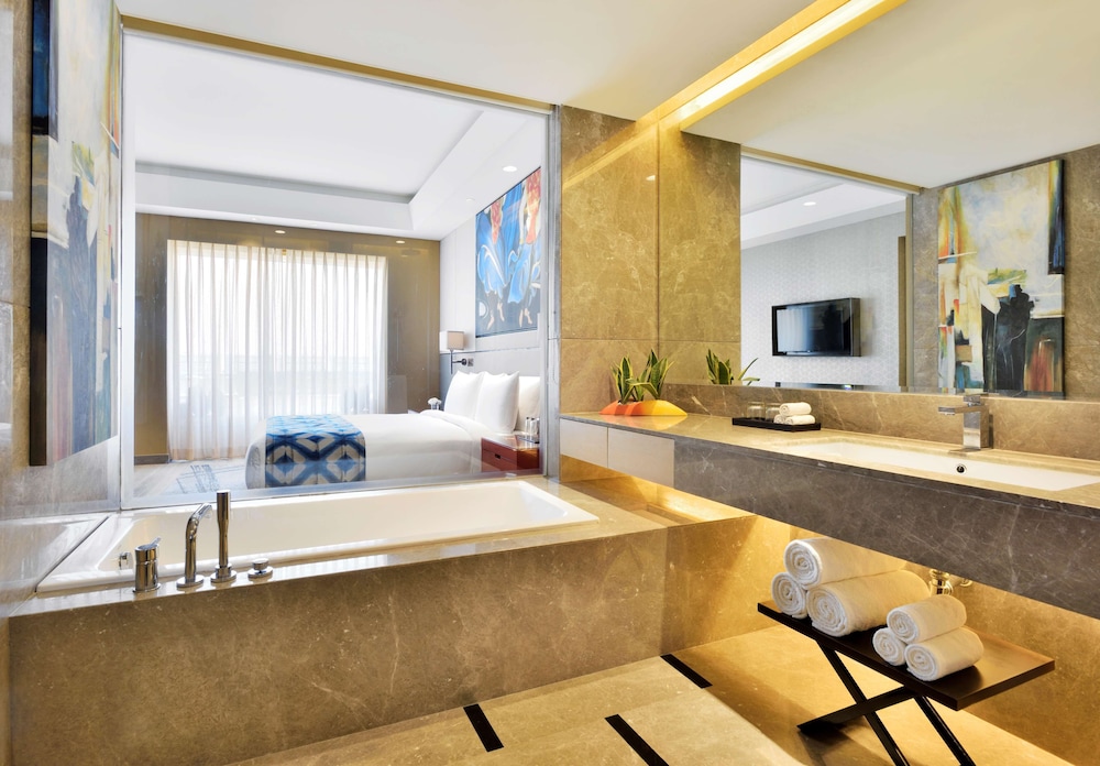 Radisson Blu Faridabad 64/75