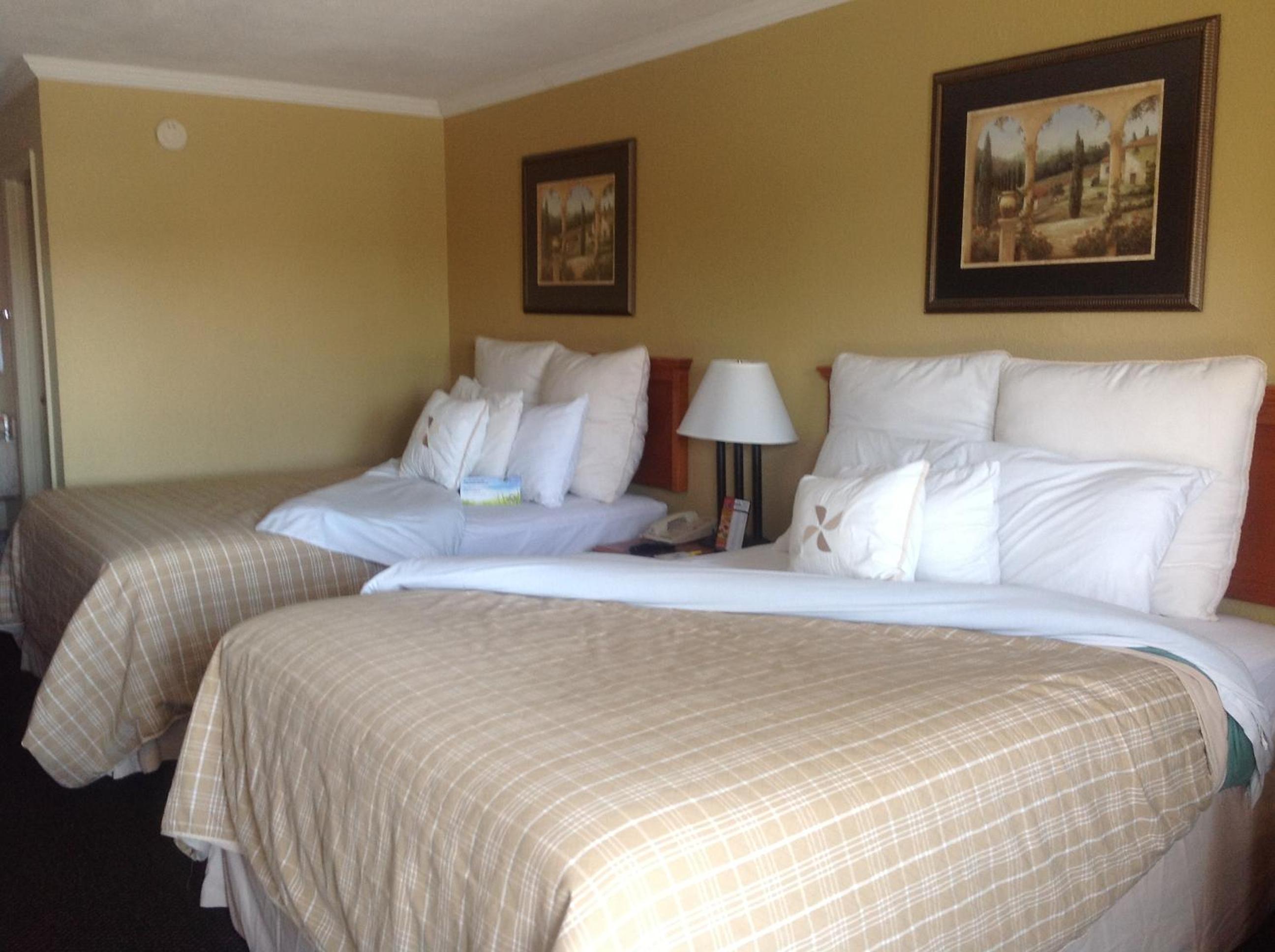 Efficiency, Single Bed, 2 Queen Beds