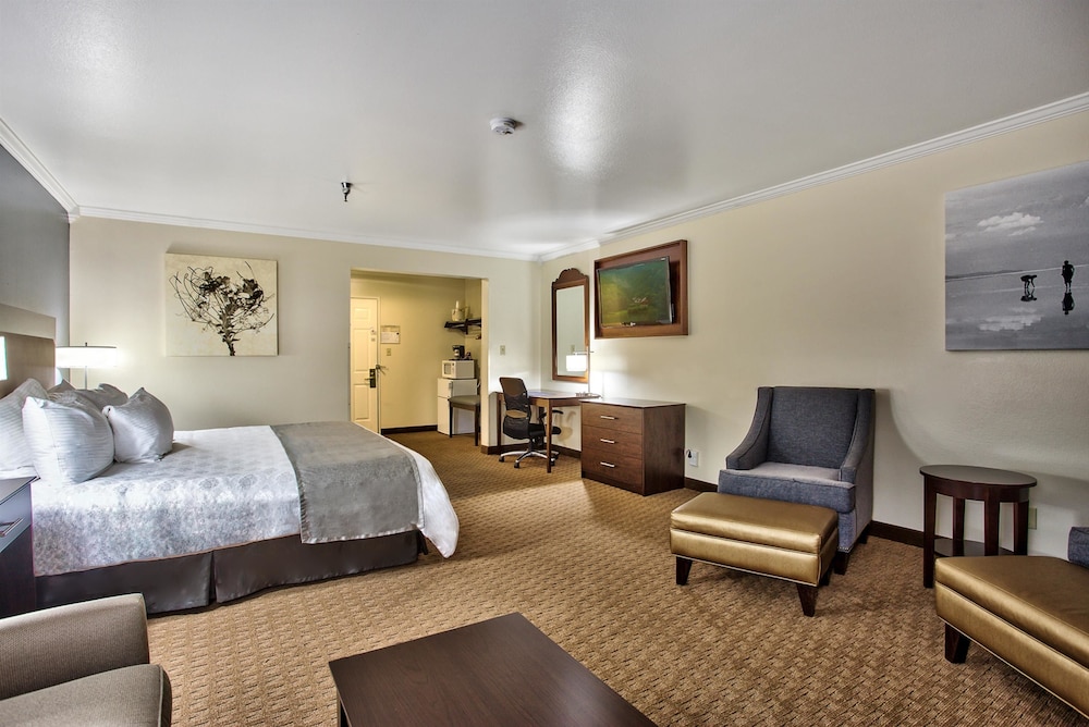 Best Western Mountain View Inn 26/39
