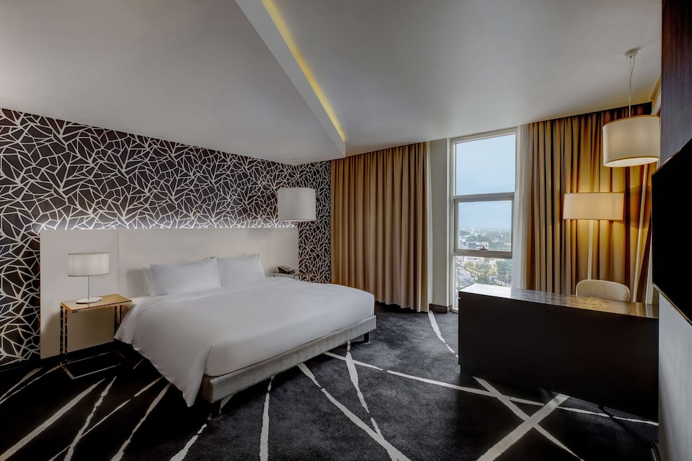 Radisson Blu Lagos Ikeja 15/74