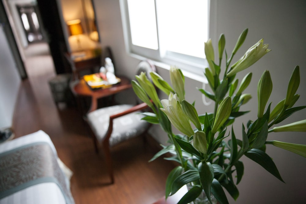 Skylark Boutique Hotel 38/50