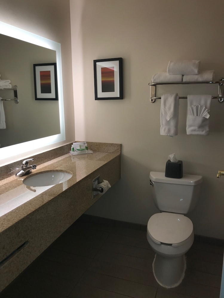 Holiday Inn Hotel Suites Ann Arbor Univ Michigan 51/73