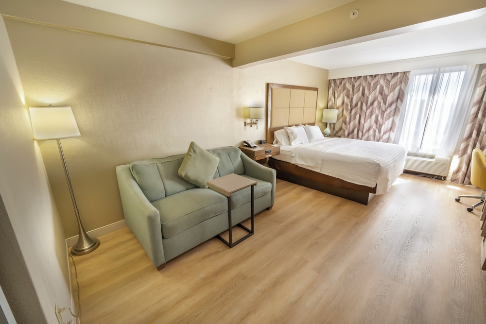 ROOM, KING BED, ACCESSIBLE