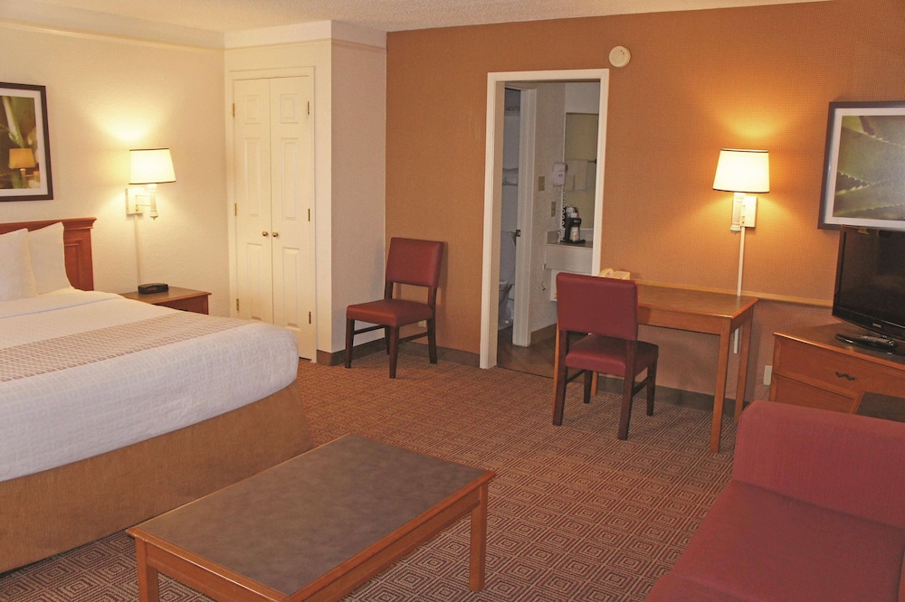 Suite, King Bed