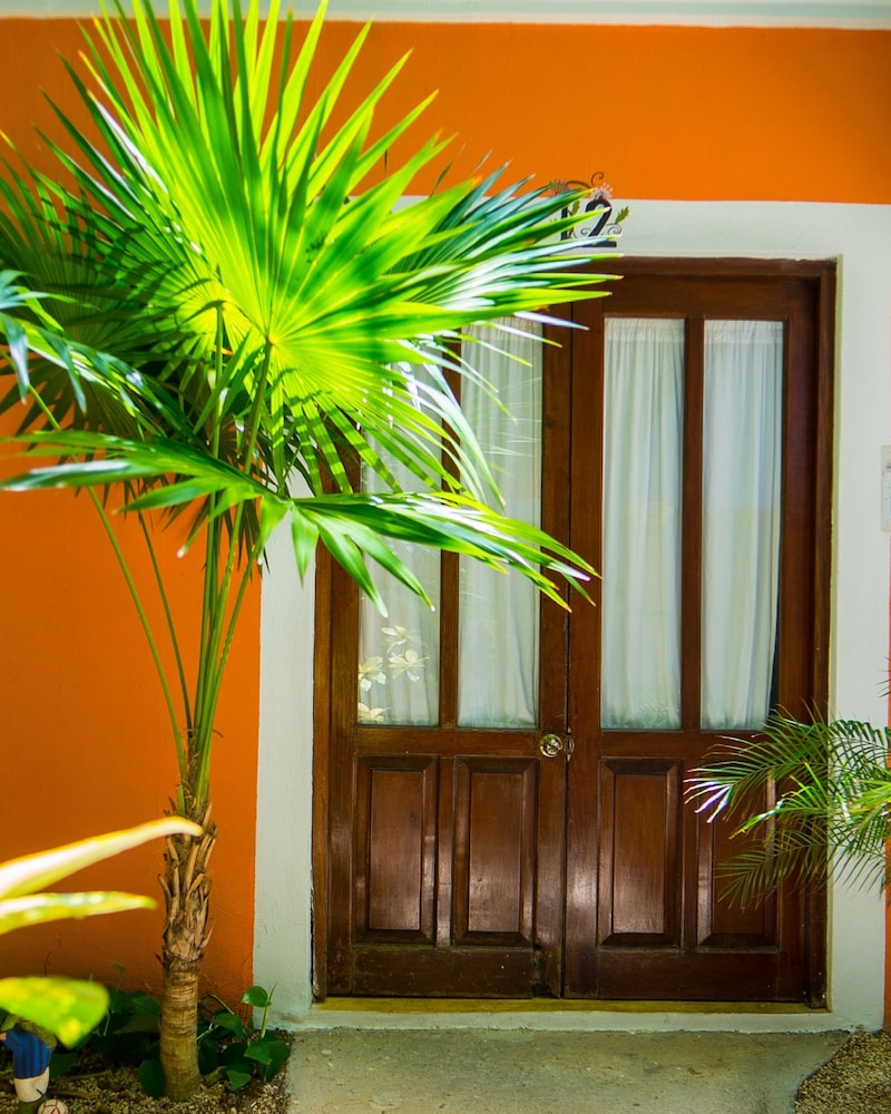 Hotel Casa de las Flores by Kavia 10/63