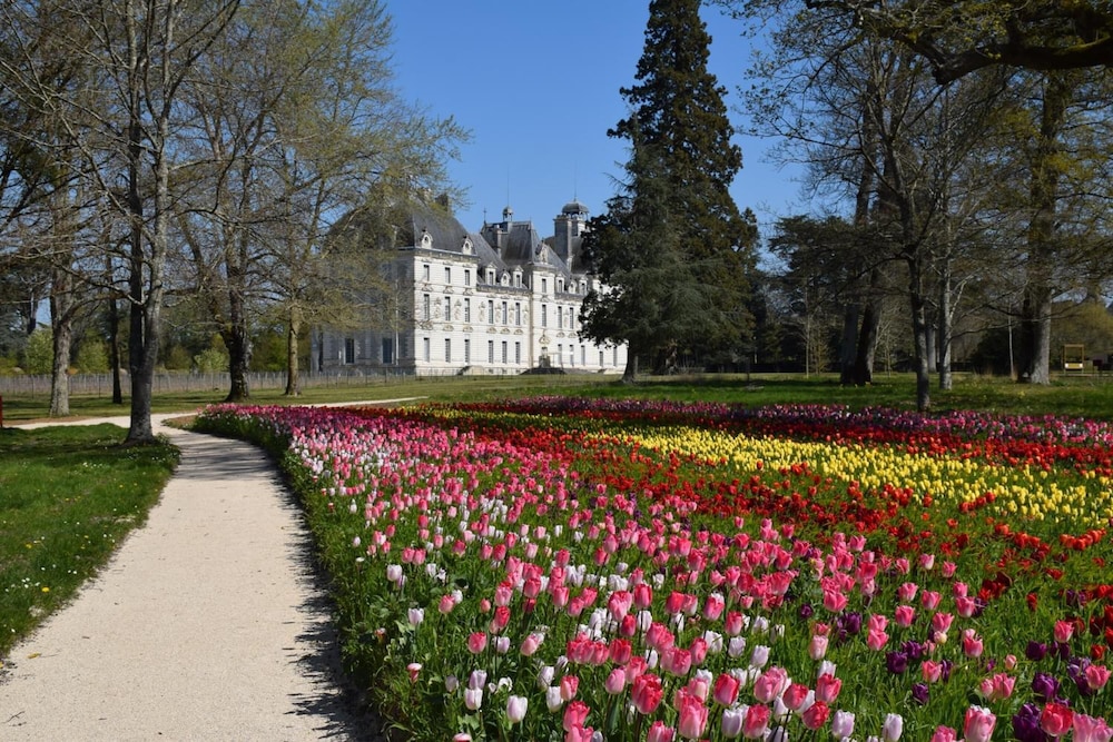 Hotel du Cygne 34/49