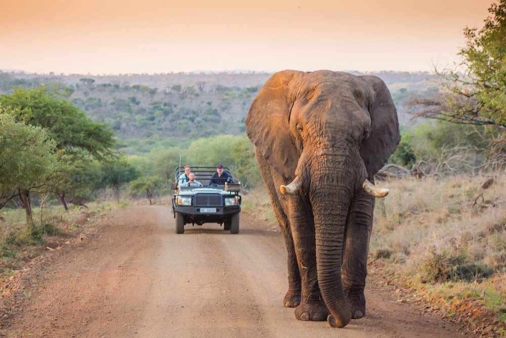 Leopard Mountain Safari Lodge 73/74