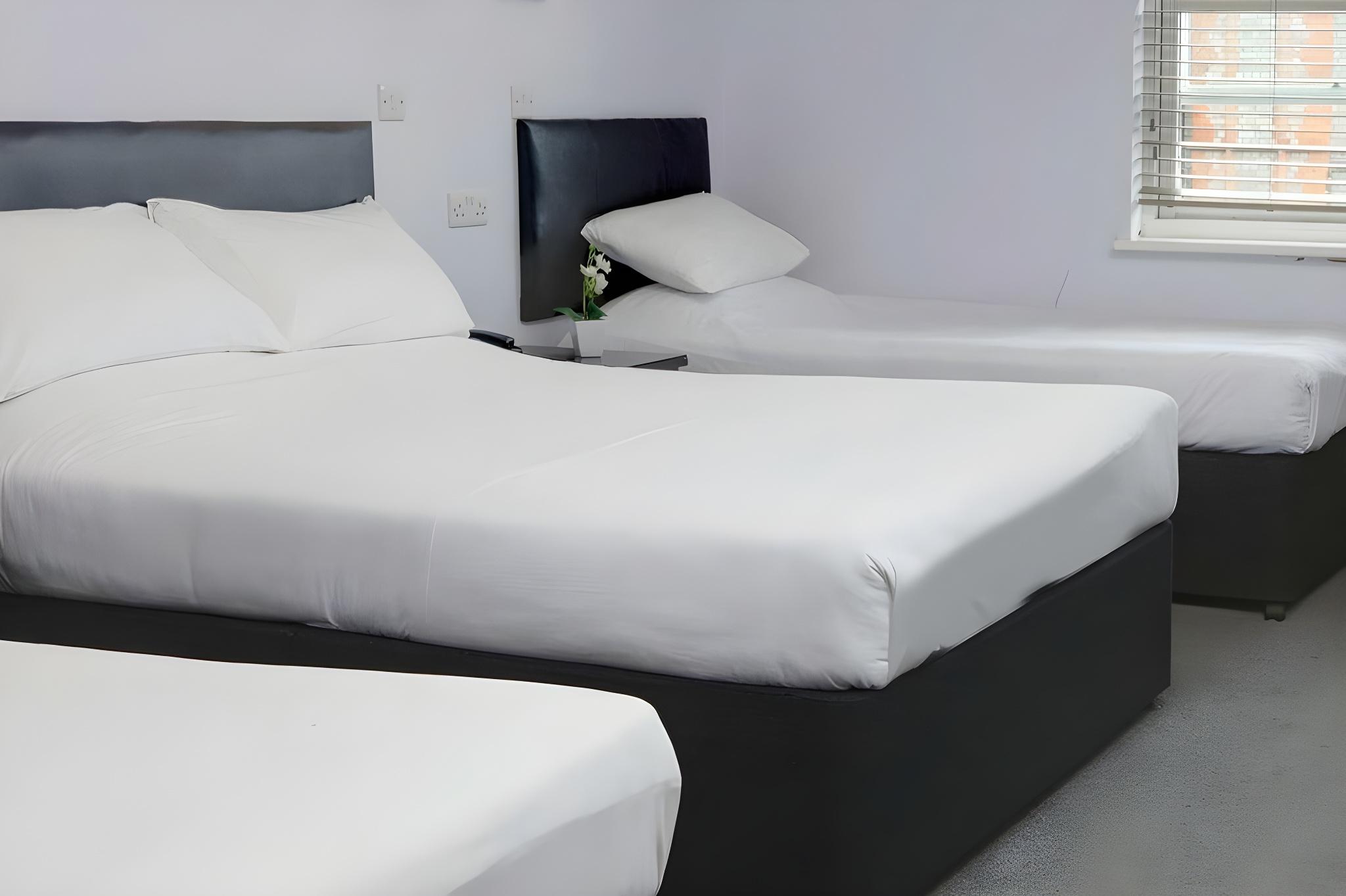 Standard, Multiple Beds
