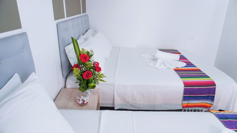 Hotel Playa Divina 12/58