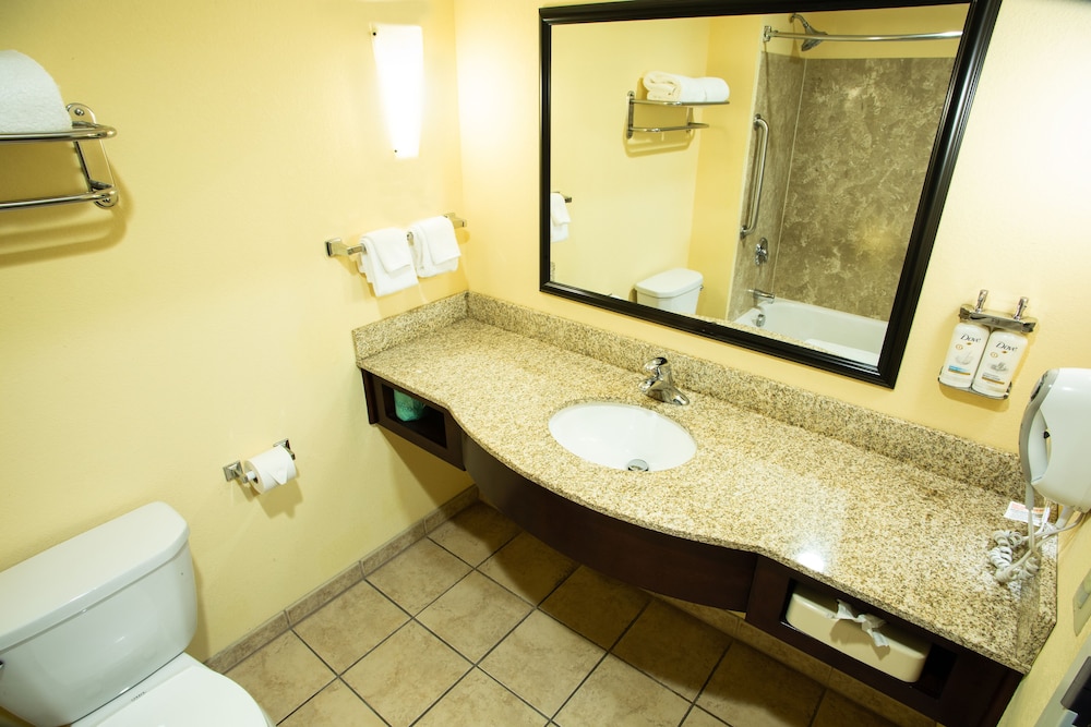 غرفة قياسية بسرير كينج، Holiday Inn Express & Suites Harrisburg W - Mechanicsburg 7/10