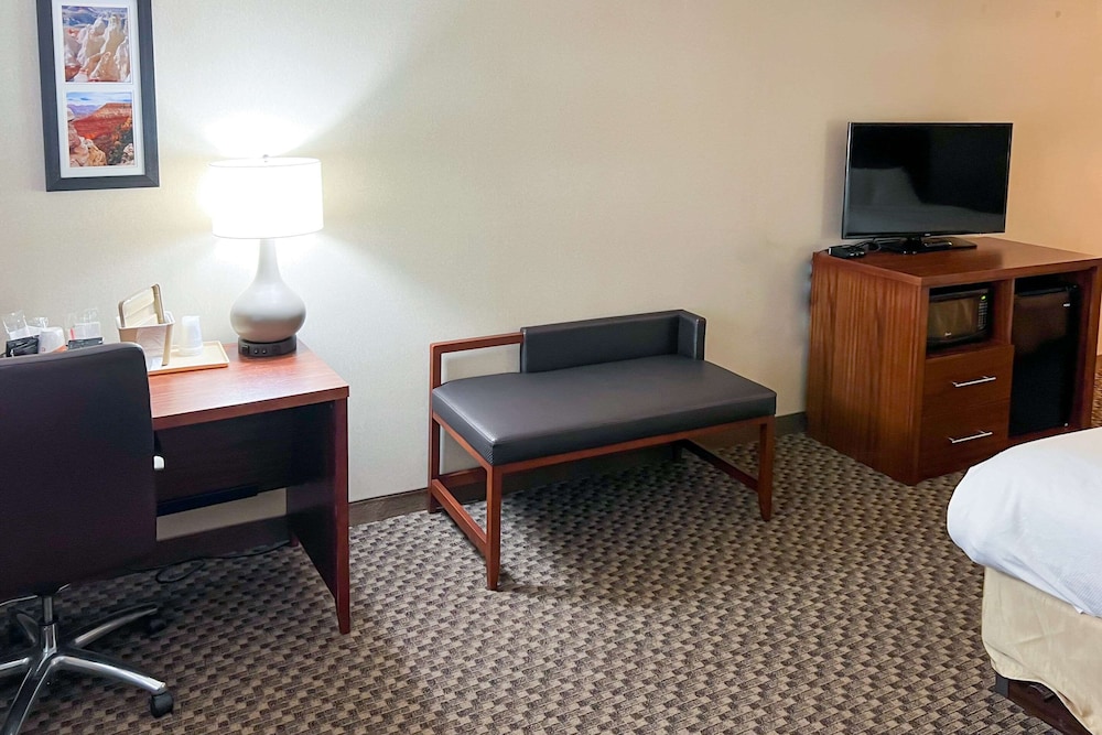 Comfort Inn And Suites Thatcher 51/79