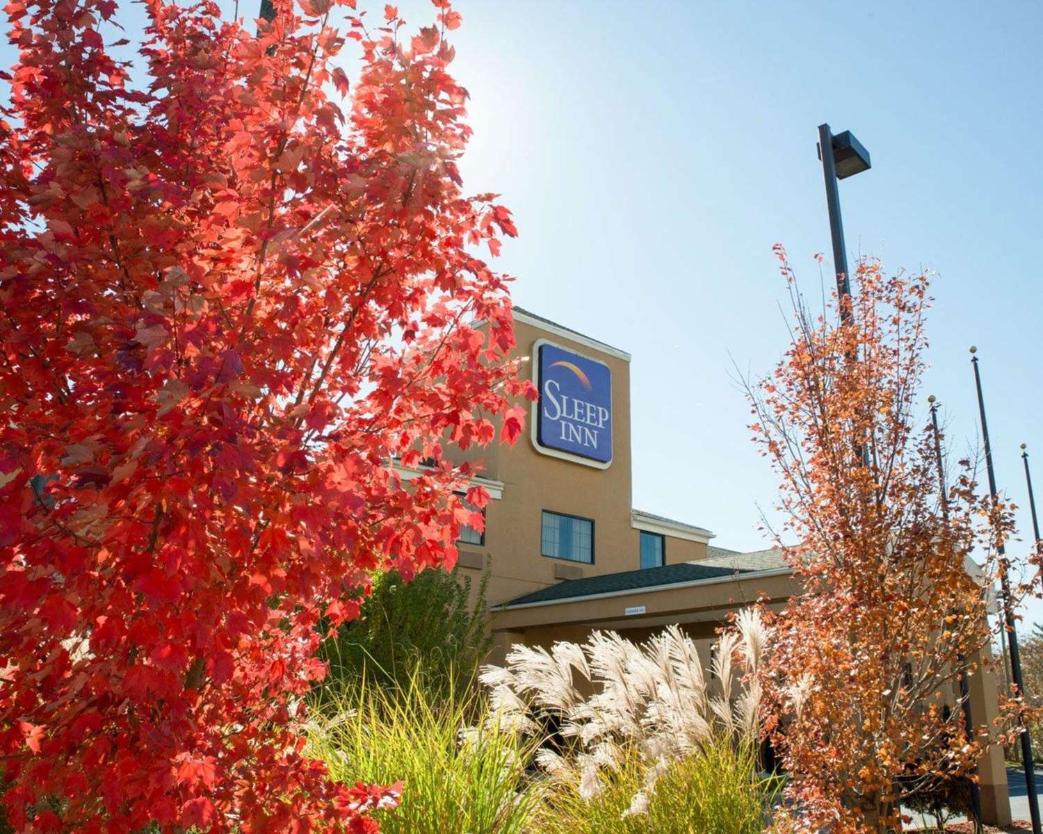 Sleep Inn Asheville - Biltmore West 41/41