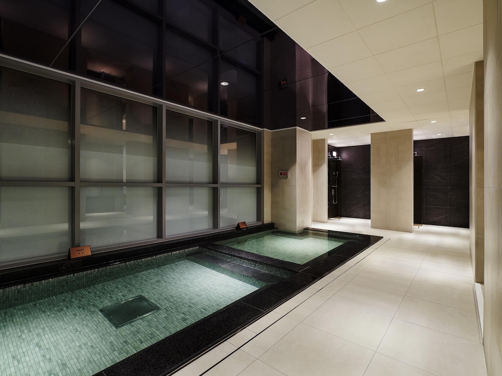 ibis Styles Ambassador Incheon Airport 22/49