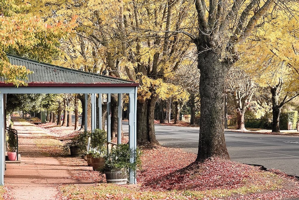 HEPBURN SPRINGS MOTOR INN 41/50