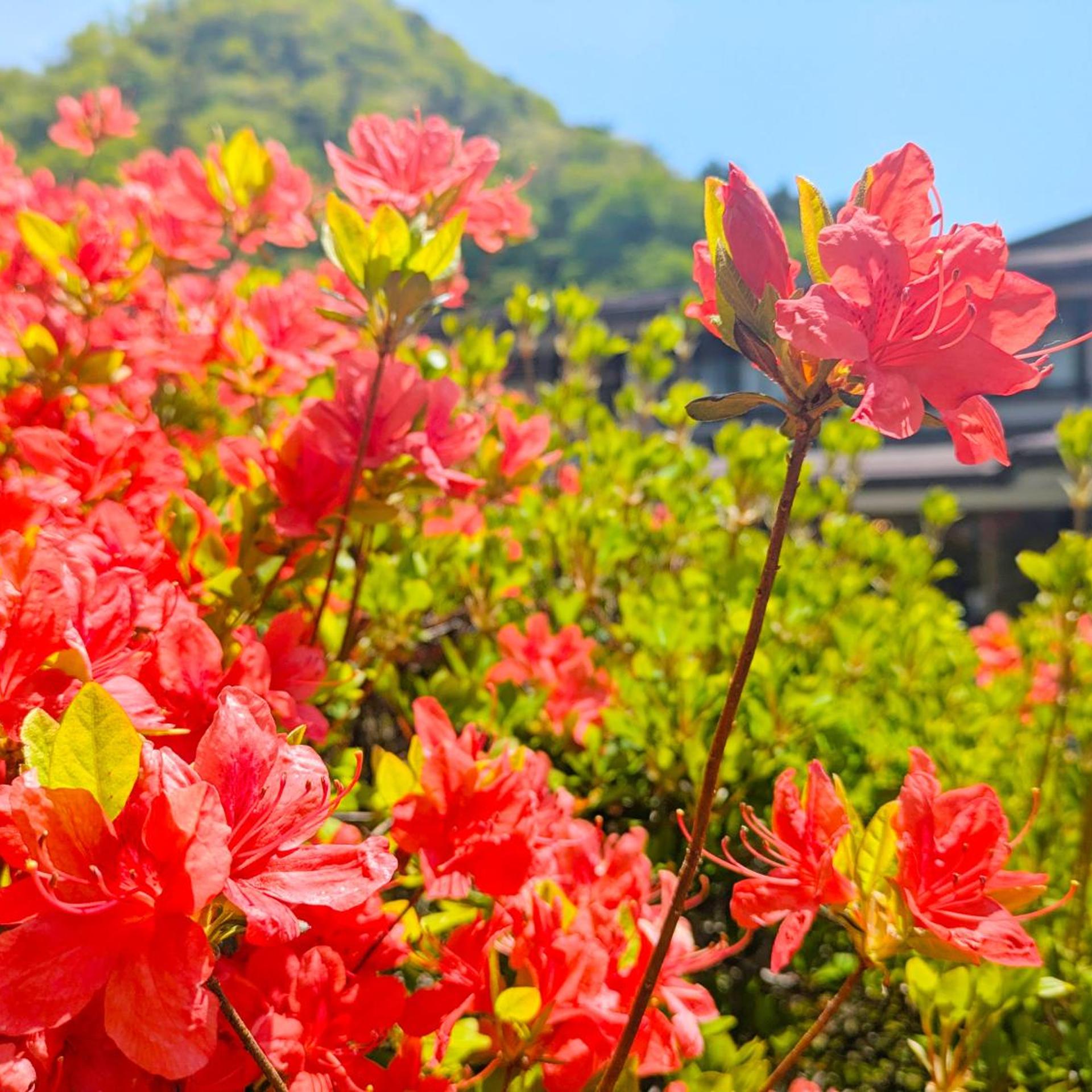 Itoen Hotel Shima 57/62