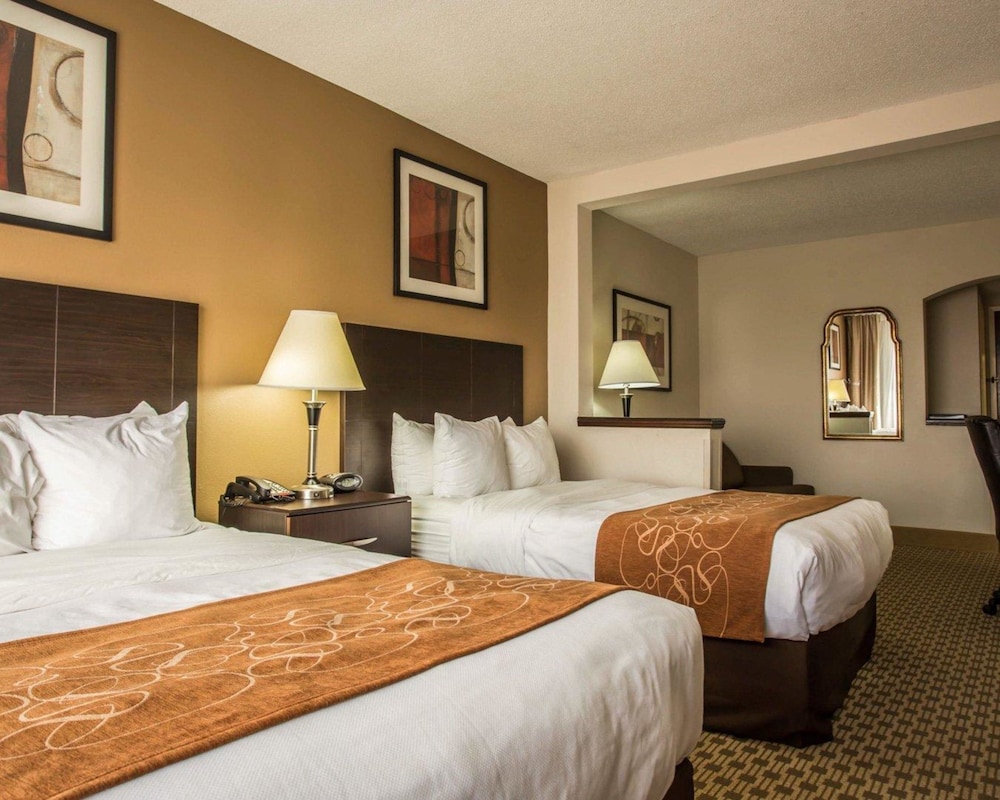 Comfort Suites Lumberton North 15/53