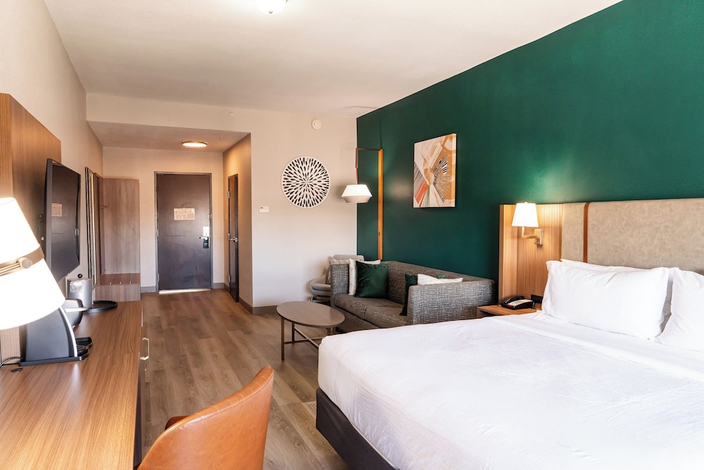 غرفة قياسية بسرير كينج بمنطقة جلوس، Holiday Inn Hou Energy Corridor Eldridge 2/6