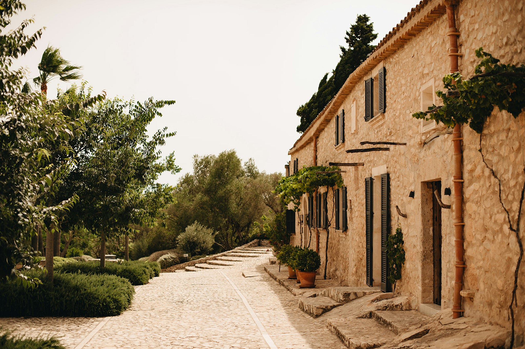 Finca Serena Mallorca 65/77