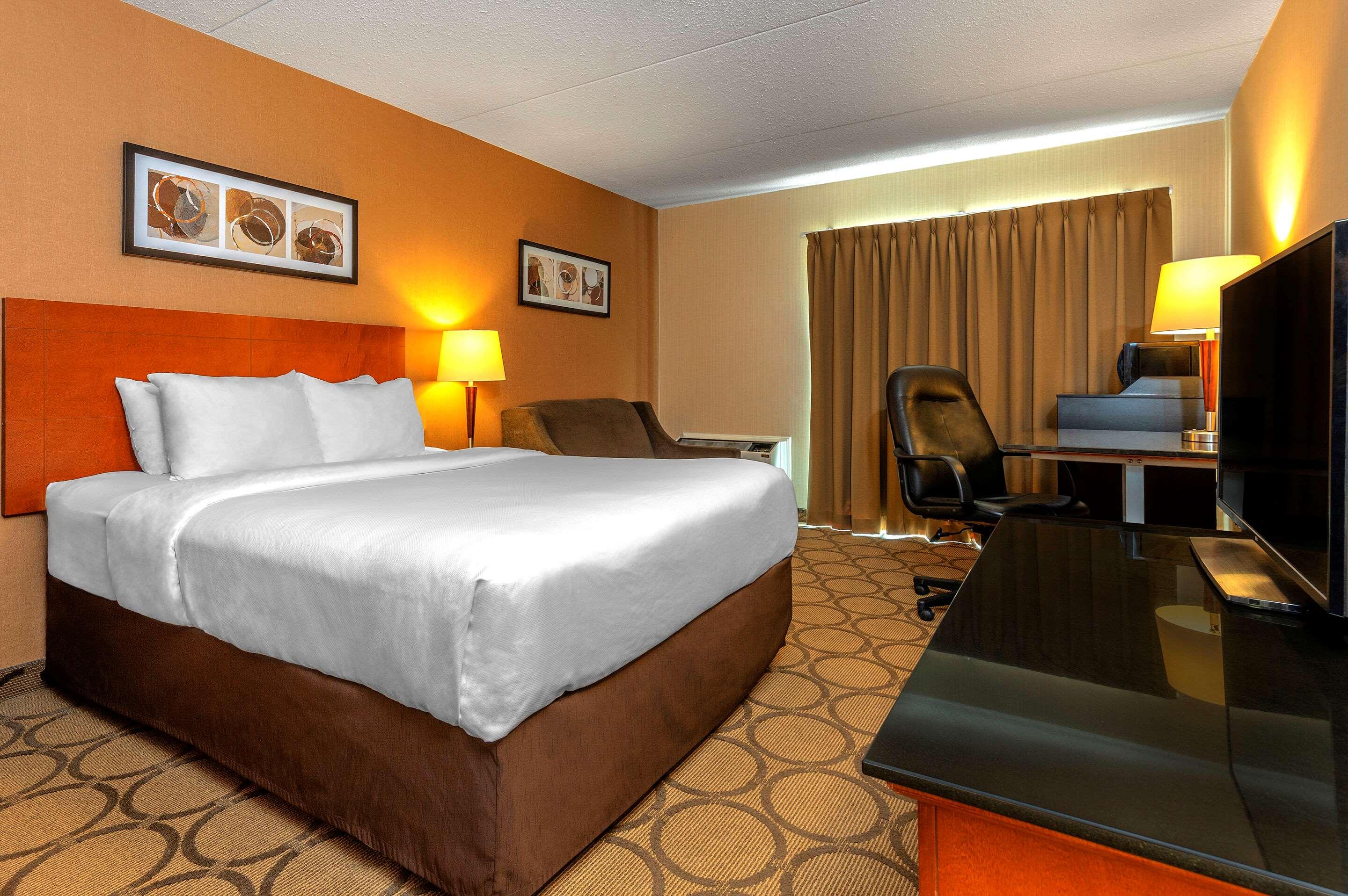Room, Queen Bed