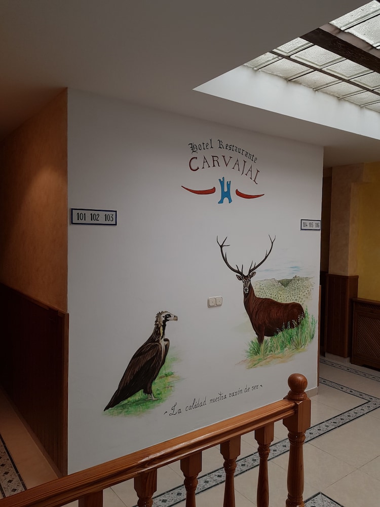 Hotel Carvajal 6/46