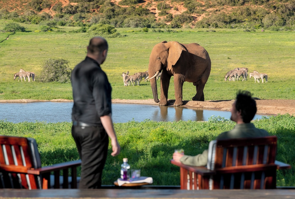 Gorah Elephant Camp 29/50