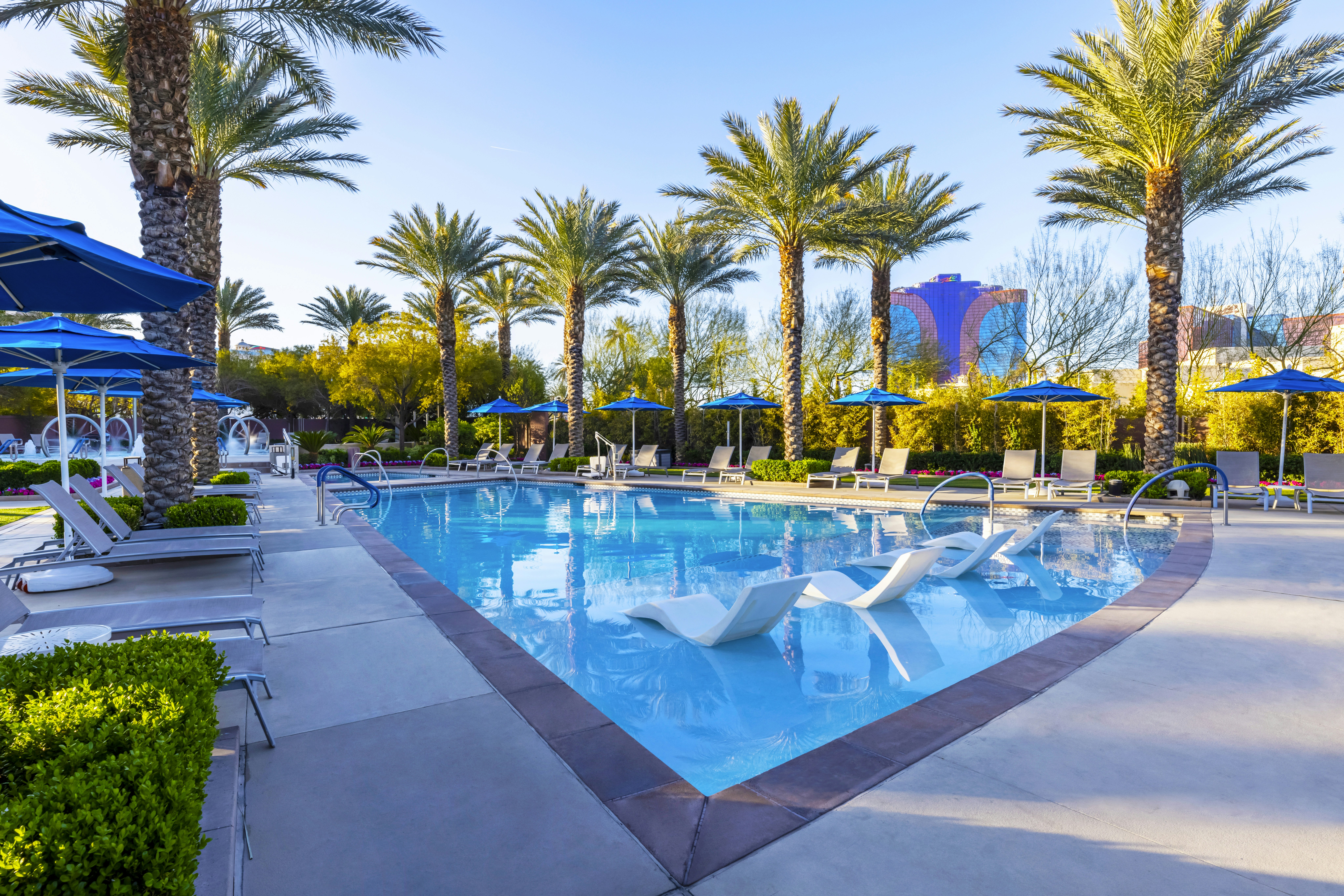 Club Wyndham Desert Blue 62/65